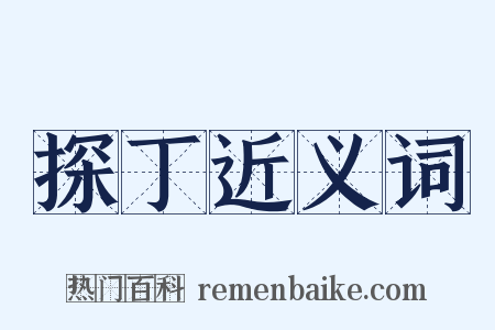 探丁近义词是什么意思的图片